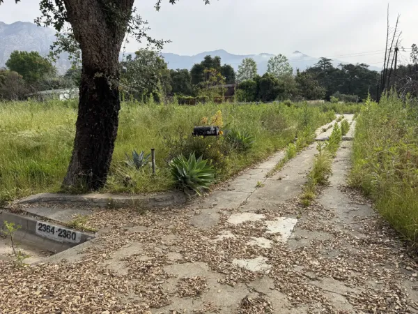 Overgrown vacant lot in Altadena with cracked concrete driveway and mountain views for multi-unit fire rebuild