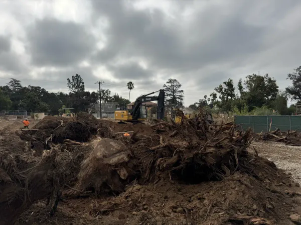 Tree root ball excavation at the Ganesha Avenue Altadena fire rebuild site with John Deere excavator clearing roots and brush for the multi-unit building pad