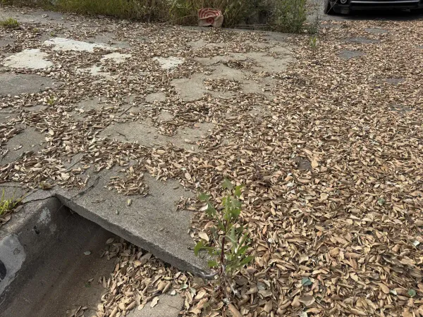 Pre-construction site photo of Altadena multi-unit lot showing concrete driveway slab over drainage ditch