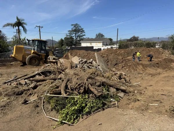 Tree stump and root removal at the Glenrose Avenue Altadena fire rebuild site with a Deere 644K wheel loader and dirt piles during site clearing
