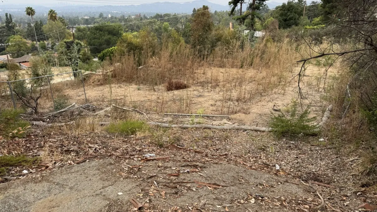 Steep downslope Altadena fire rebuild lot on Northaven Lane looking toward the valley with existing dry brush, chain link fence, and pine tree before site work