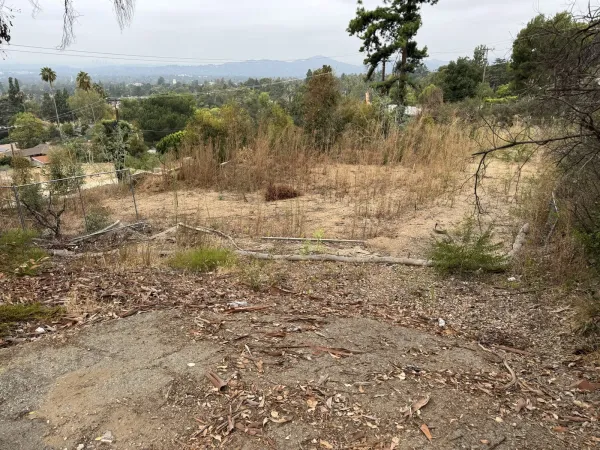 Steep downslope Altadena fire rebuild lot on Northaven Lane looking toward the valley with existing dry brush, chain link fence, and pine tree before site work