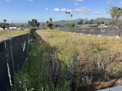 Altadena residential lot with palm trees and natural slope for drainage plan design