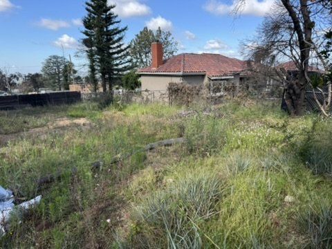 Vacant Altadena lot with mature trees before construction with our drainage plan approved