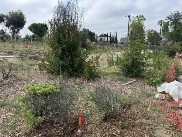 Flowline installation along property line showing 5% slope grade and drainage channel preparation