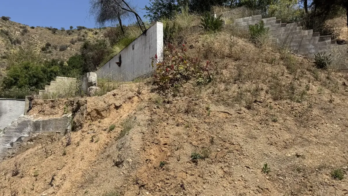 Steep hillside with existing concrete retaining walls and complex topography