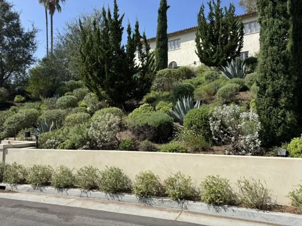 Low beige stucco retaining wall along the Redcliff Street sidewalk below a terraced Silver Lake garden with agave and cypress, light-stucco house with red tile roof above