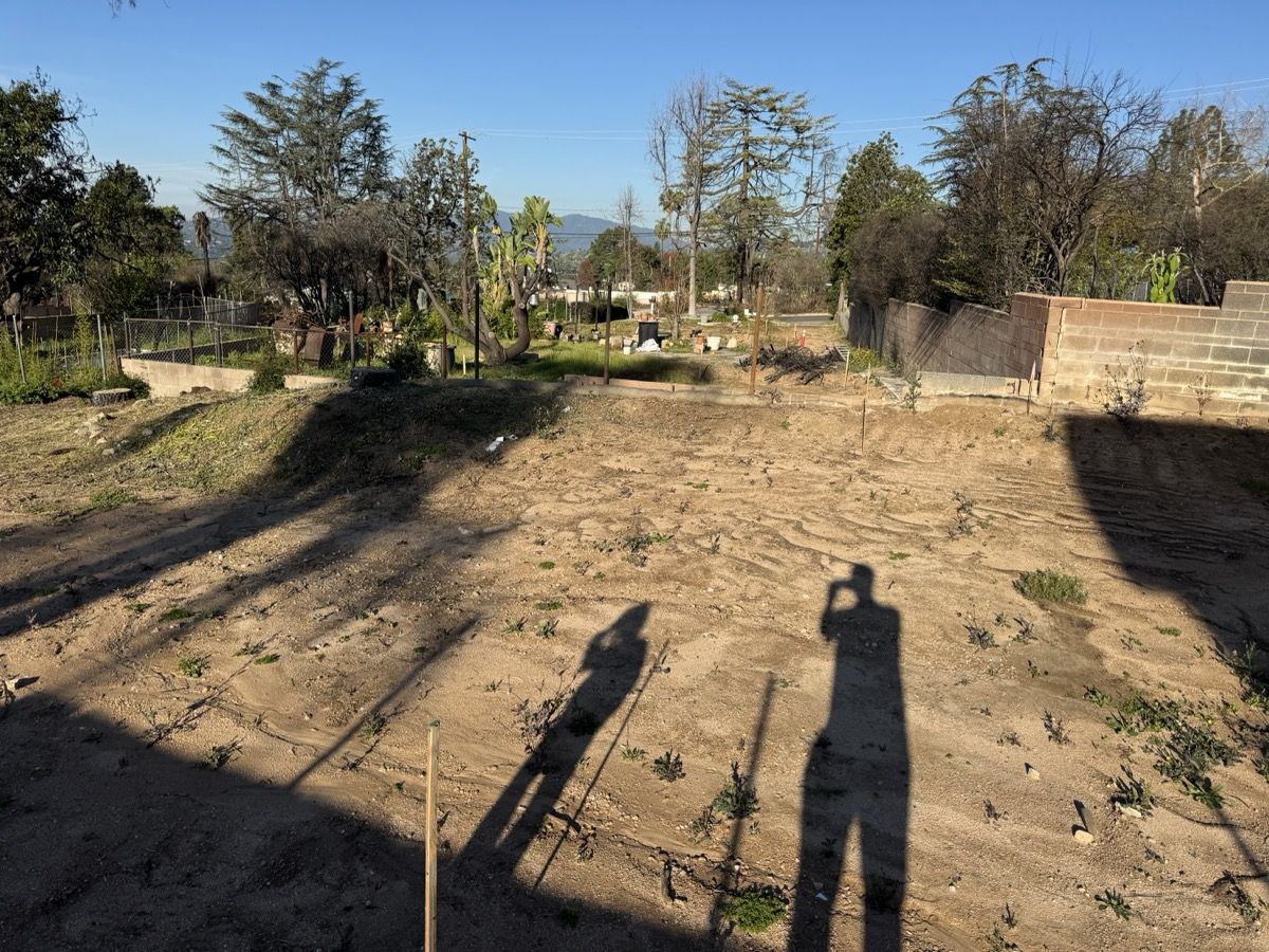 Existing conditions on the property